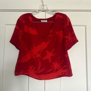 Aritiza (Babaton) blouse